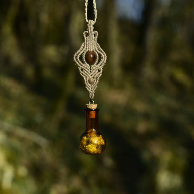 talisman fiole ambrée hélichryse