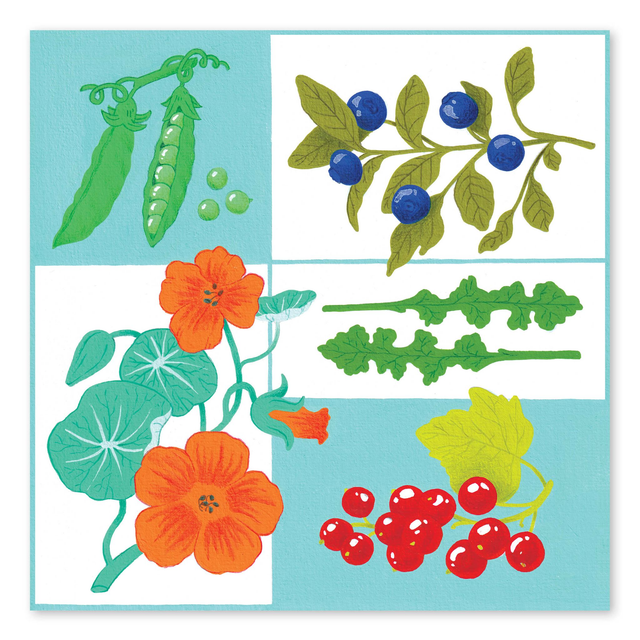 Illustrations du calendrier 2024