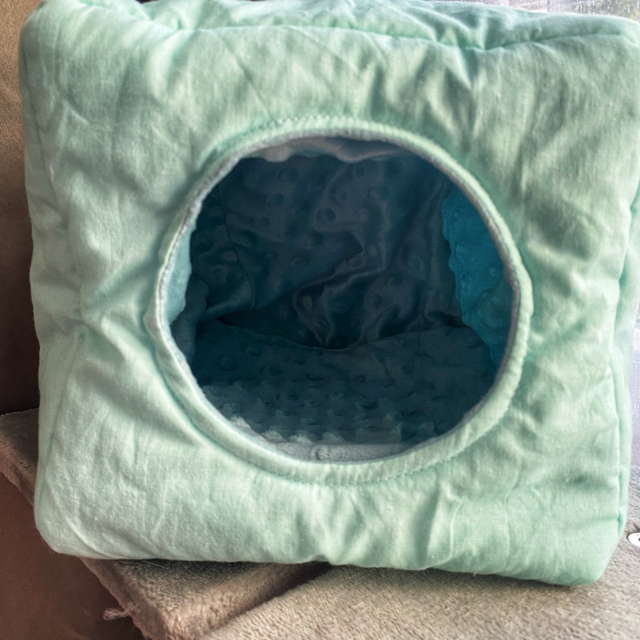 Dodo cabane bleu clair 