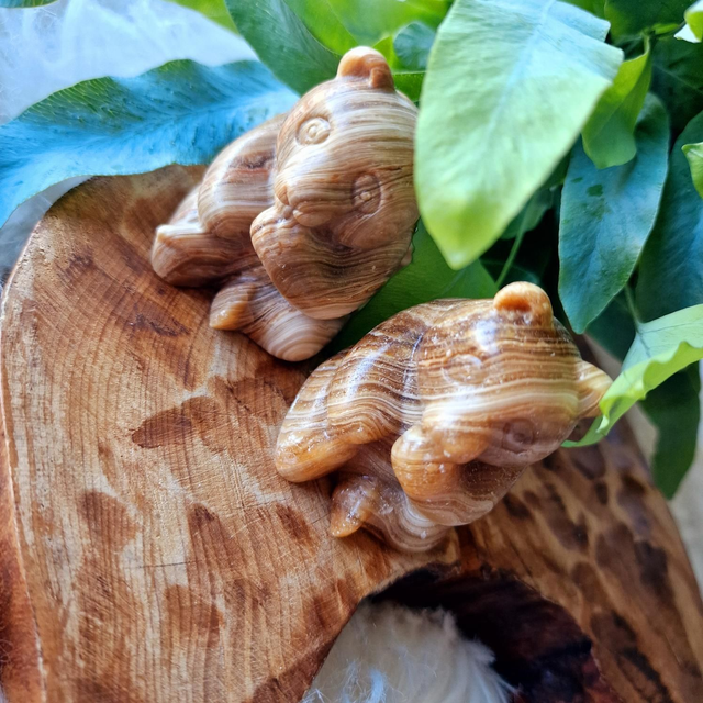 Chocolate Calcite Panda Bear 