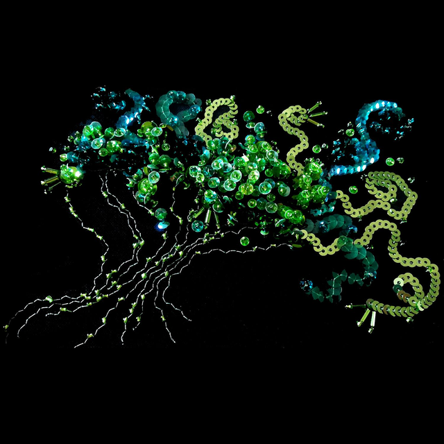 Anémone Vert Emeraude