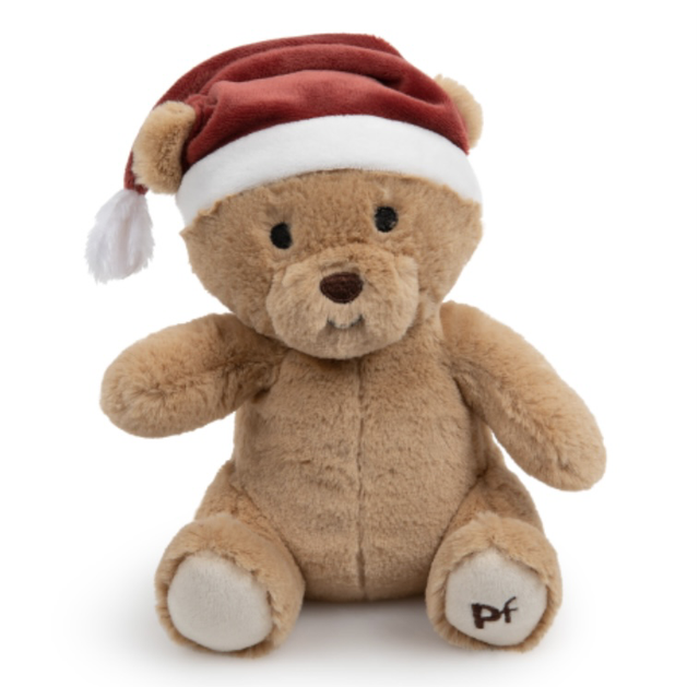 Christmas Teddy Dog Toy