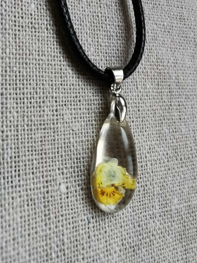 Petite pensée jaune