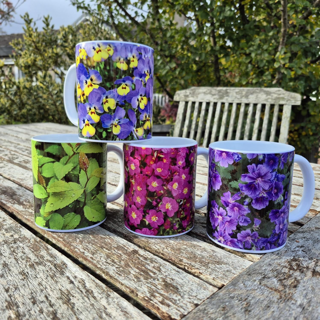 Viola Mug
