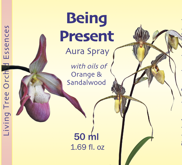 Being Present Aura Spray