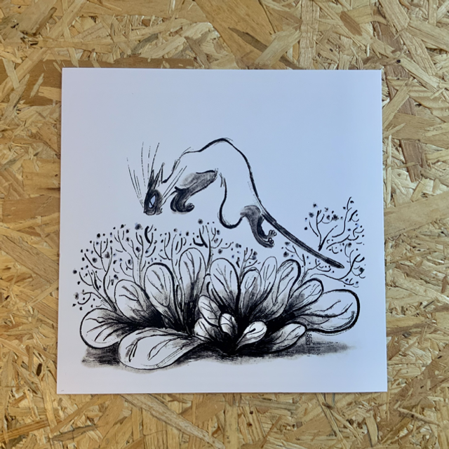 Cartes poèmes à mes chats 