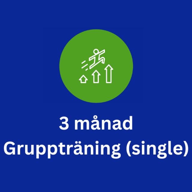 3 månad Gruppträning (single)