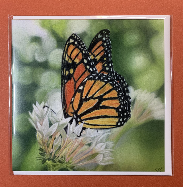 Greetings Card - Monarch Butterfly - Blank Inside