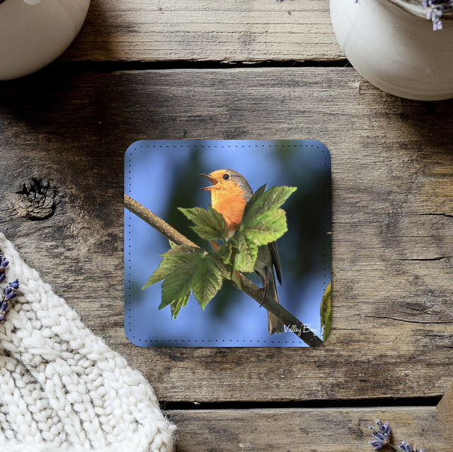 “Hula Robin” Coaster  