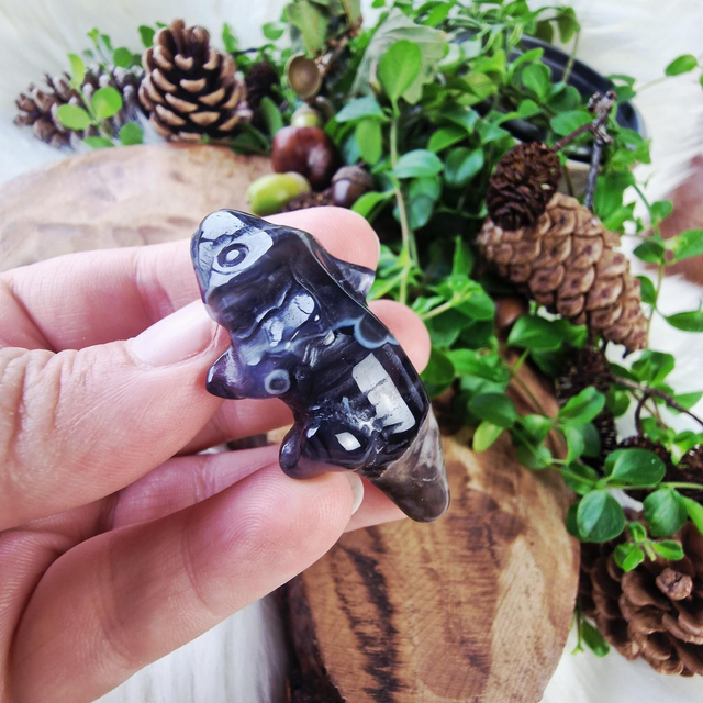 Volcano agate axolotl 