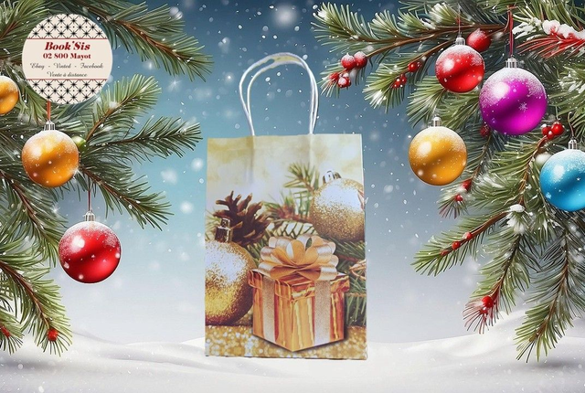 Sacs cadeaux Noël 15x21x8 cm