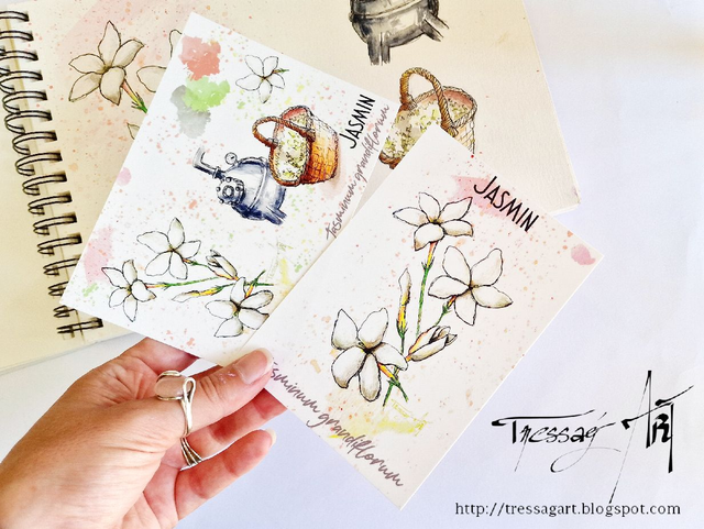 LOT 2 CARTES "PLANTES A PARFUM" de Grasse - Jasminum grandiflorum - Jasmin - TR025002
