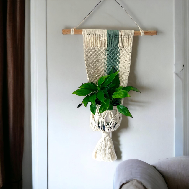 Suspension pour plantes 🌿