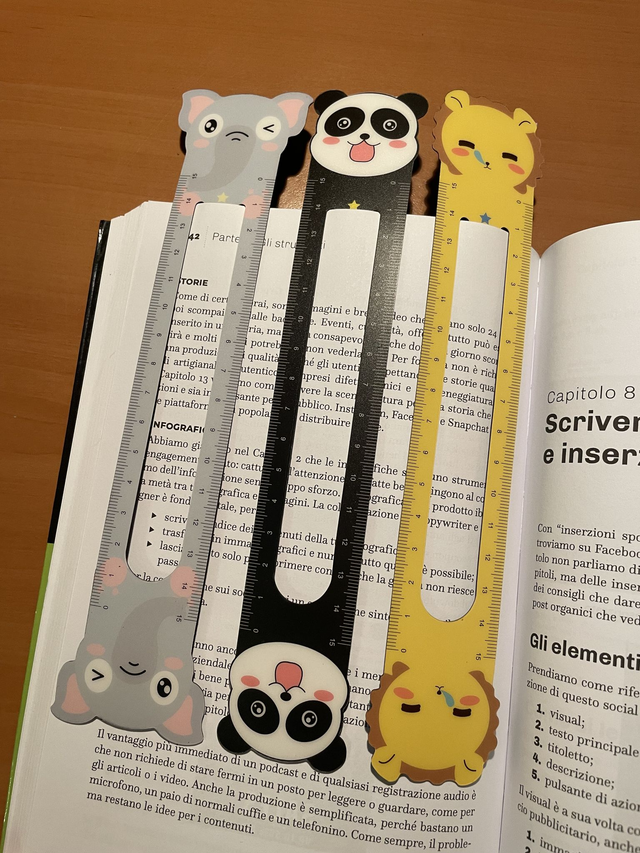 segnalibro magnetico