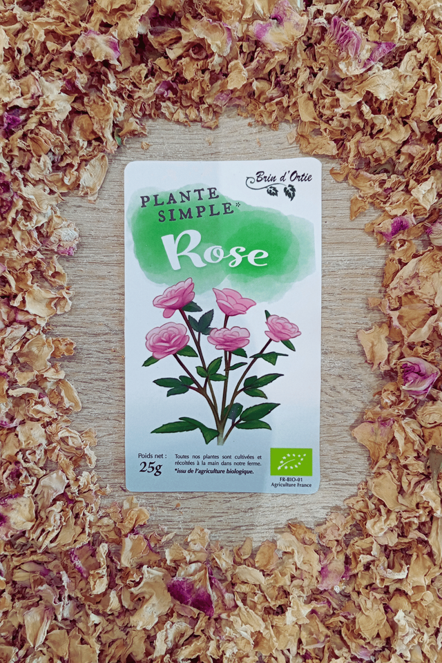 Fleur simple, Rose