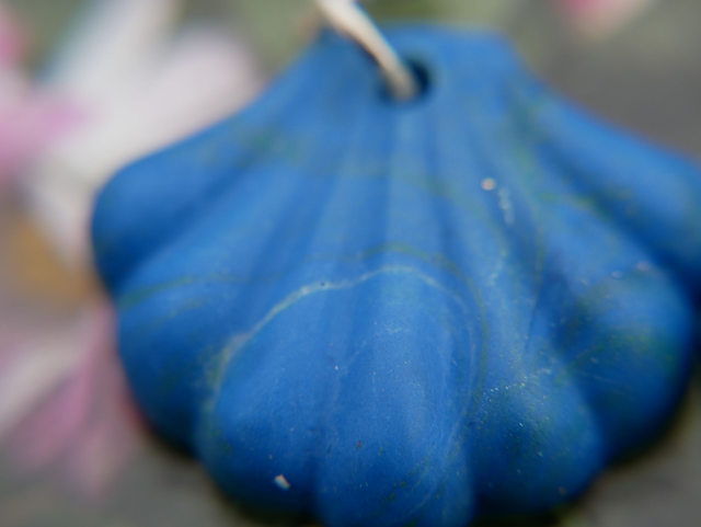 boucles d oreilles ST  JACQUES