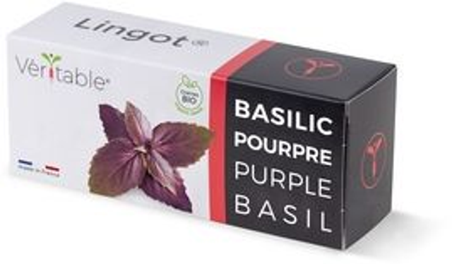 Véritable Lingot Purple Basil - Organic
