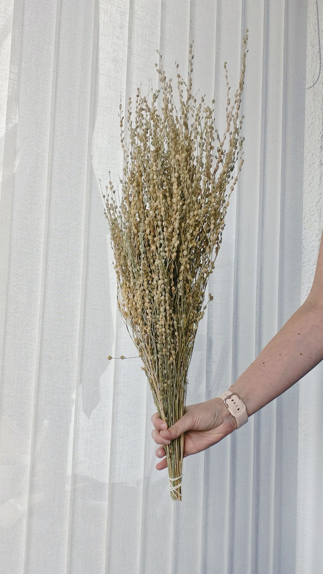 Vide atelier - Cresson naturel