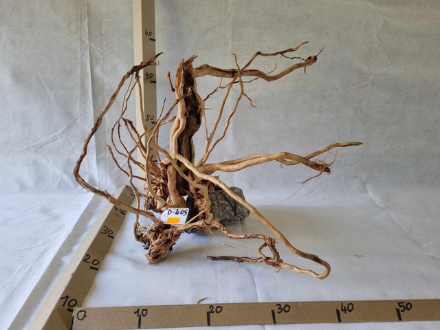 Racine Dragon Skin D-405