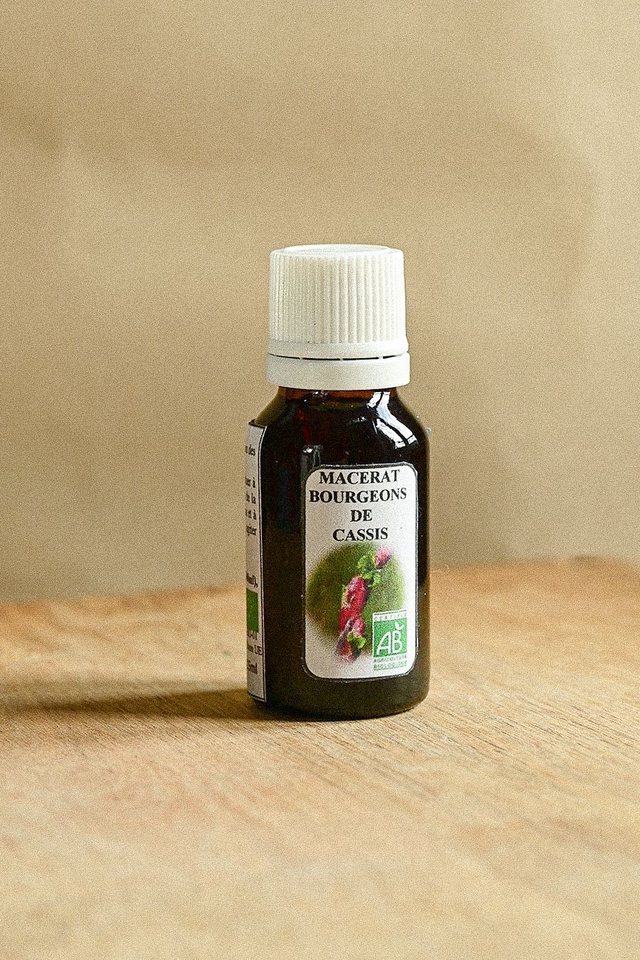 Macérât bourgeons de cassis