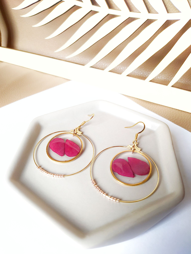 Créoles - 50 nuances de rosier