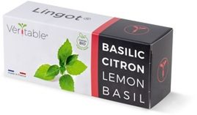 Véritable Lingot Lemon Basil - Organic