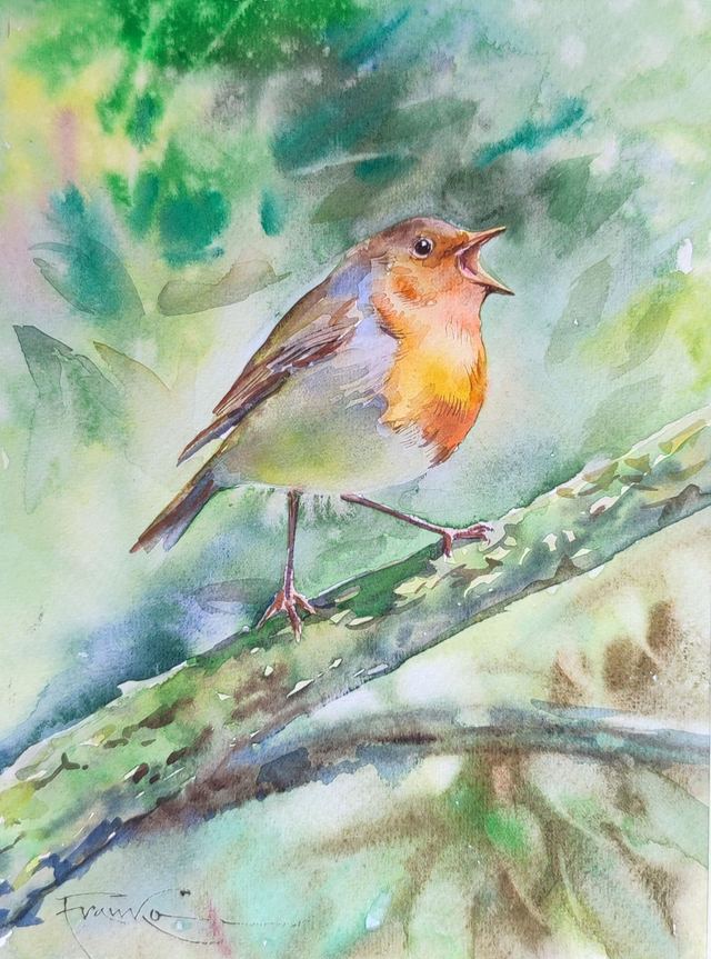 Rudzik, 35x28 (24x18 w świetle passe-partout) akwarela 2024