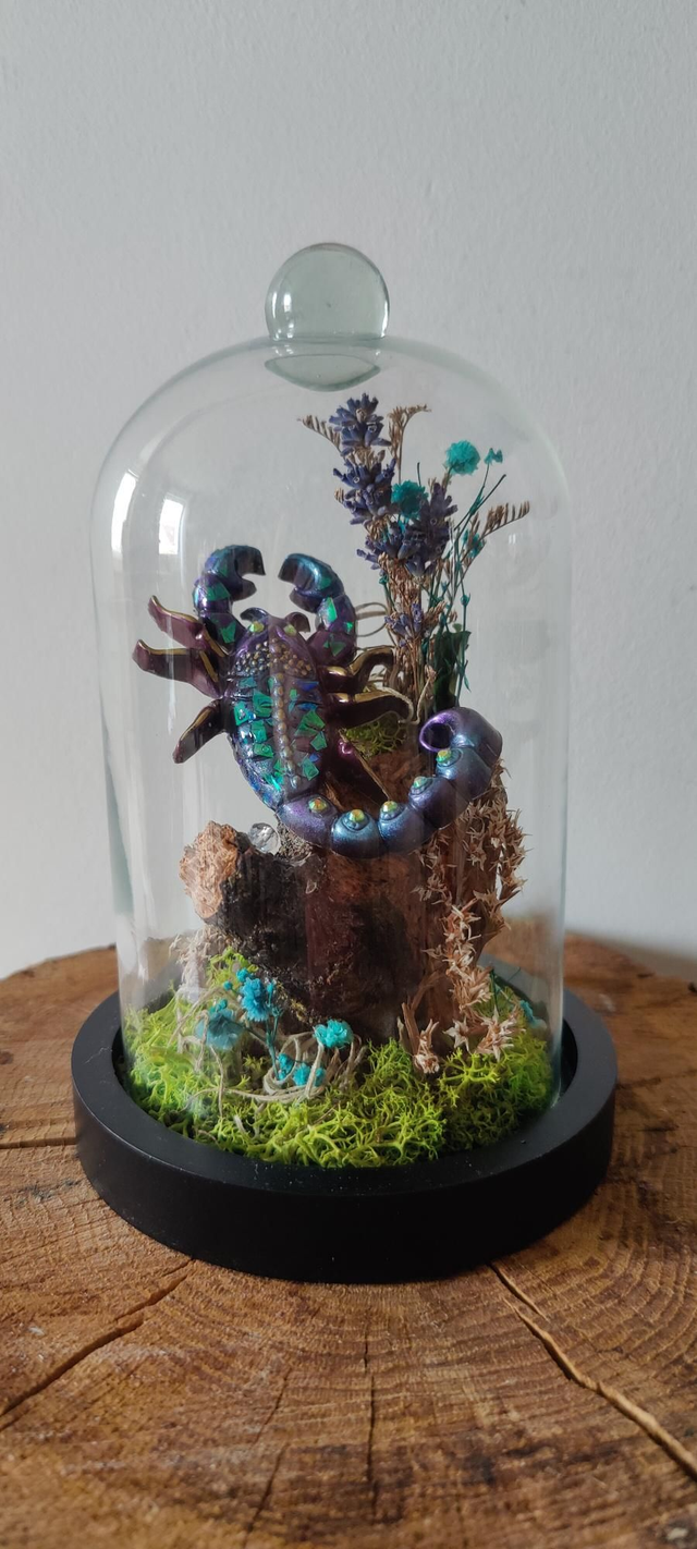 Fantasy sous cloche : Le scorpion luisant et végétaux 