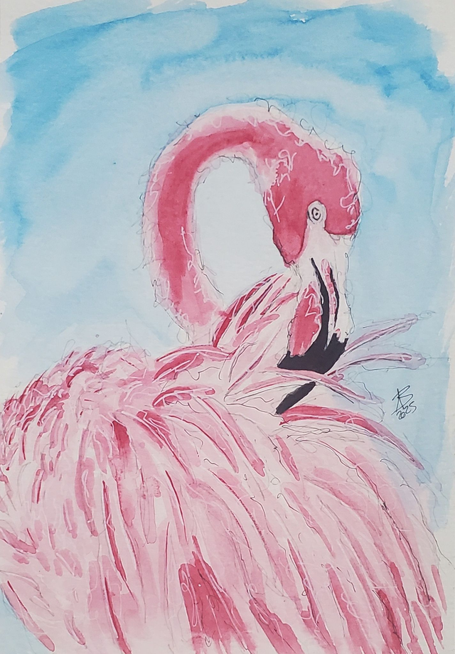 [1900] Flamant rose