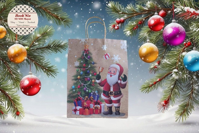 Sacs cadeaux Noël 25,5x33x12,5 cm