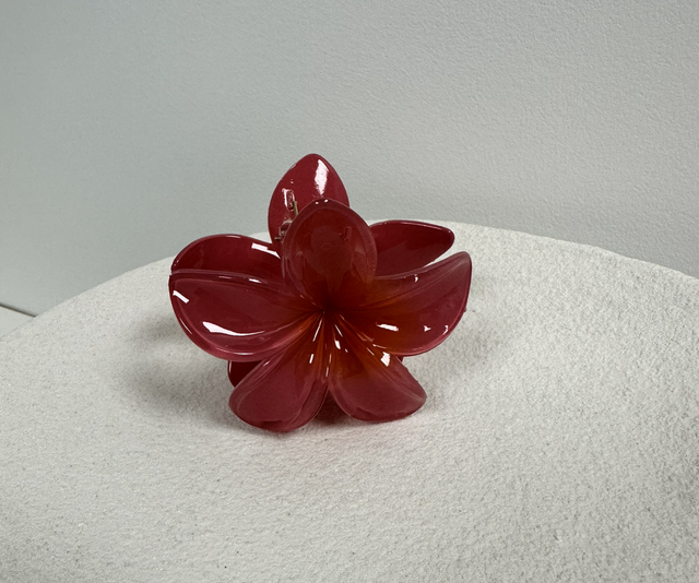 PINCE À CHEVEUX FLOR 