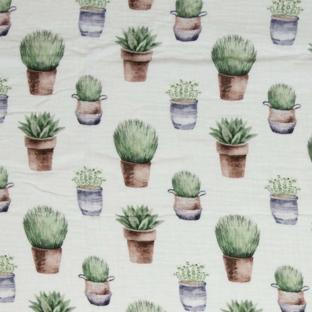 Musselin 0,5m Kaktus 