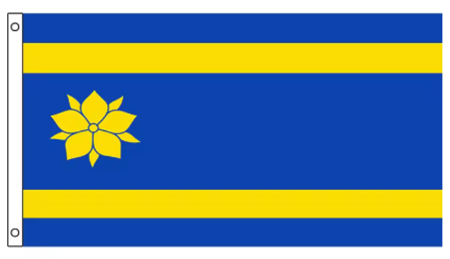 Grote vlag Hattem (150x90cm)