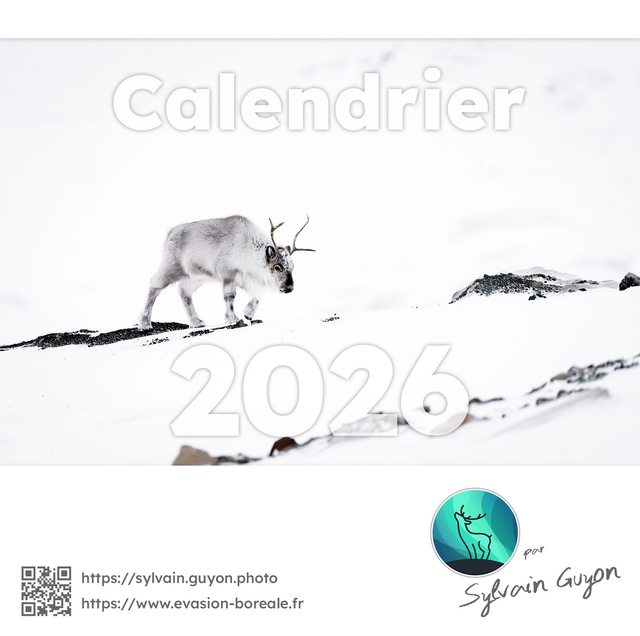 Calendrier 2026