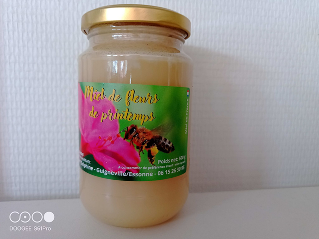 Miel de fleurs de printemps (pot 500 g)