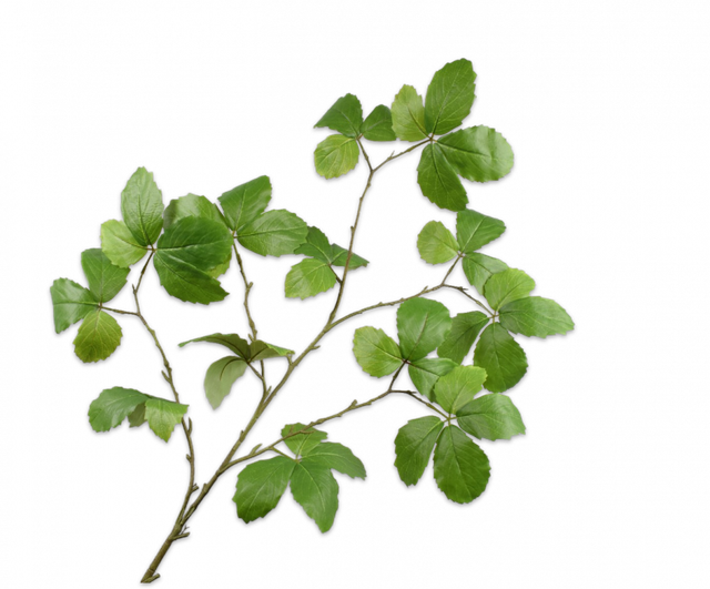 Silk-Ka Bladtak 126cm groen