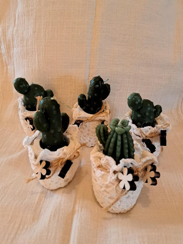 Bougeoir cactus 🌵 