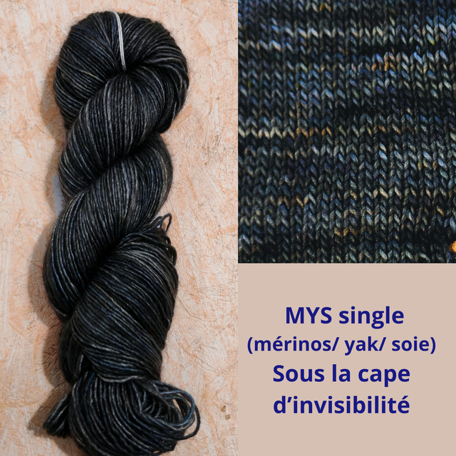 MYS single Sous la cape d'invisibilité