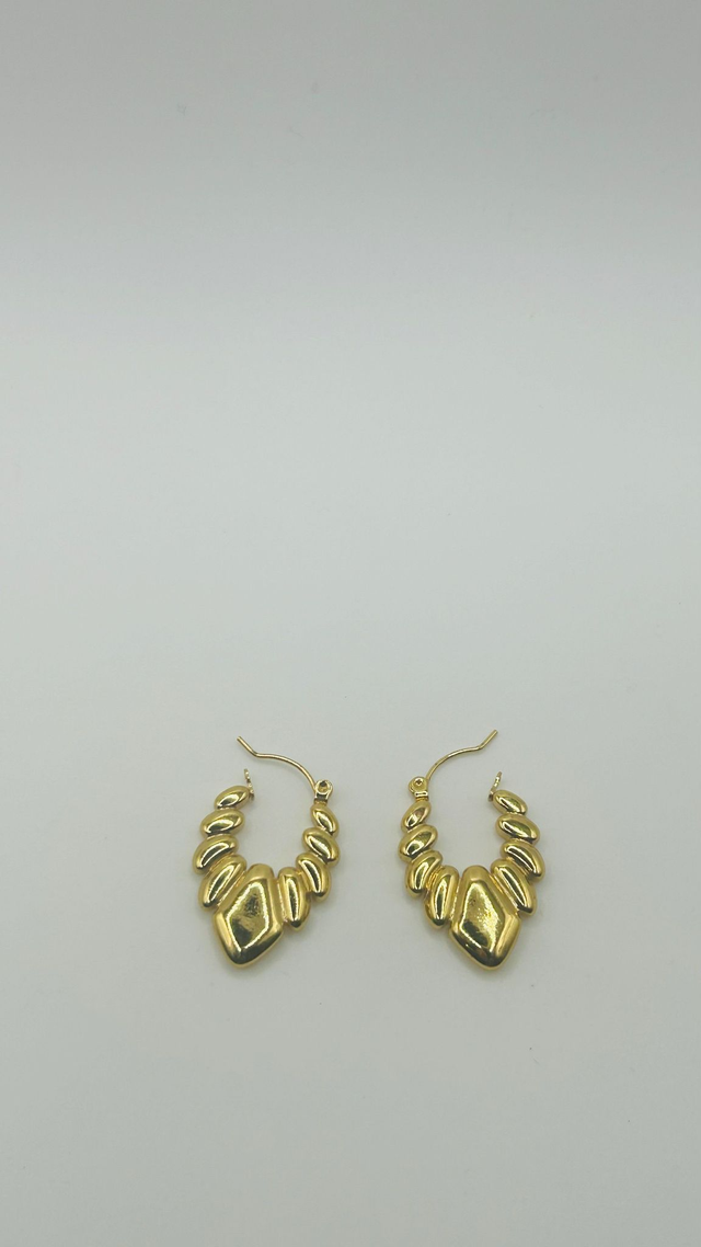 Stainless Steel Earrings (SSE16J)