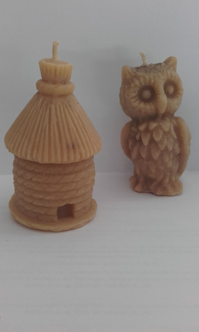 Bougie à la cire d'opercule