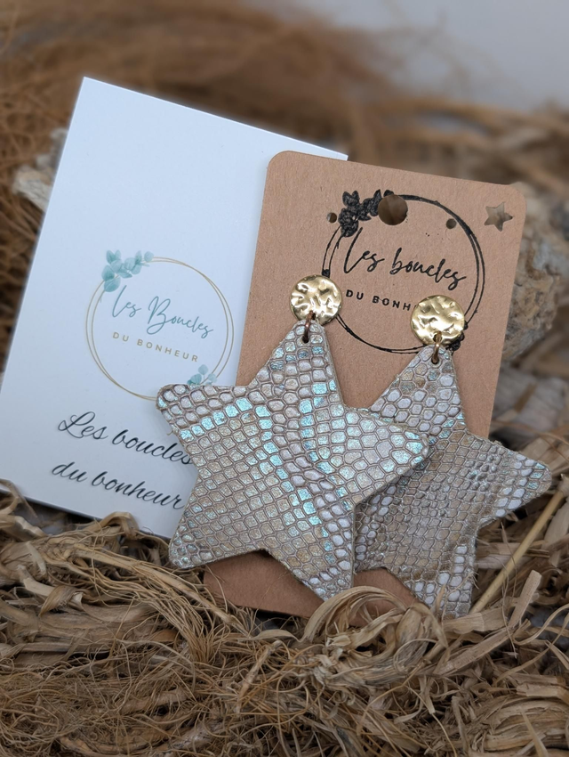 Boucles d&#039;oreilles Star s121