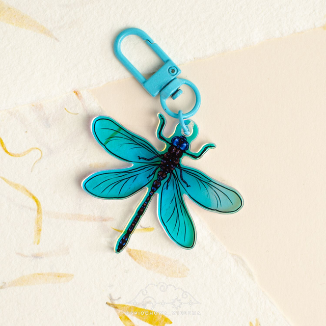 Ważka Rainbow | ZWIERZĘTA