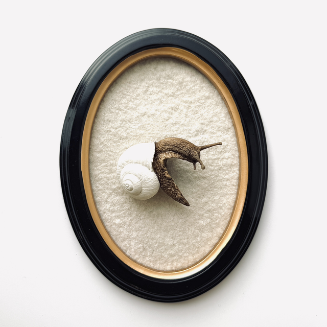 KOA CLINGERS — Snail