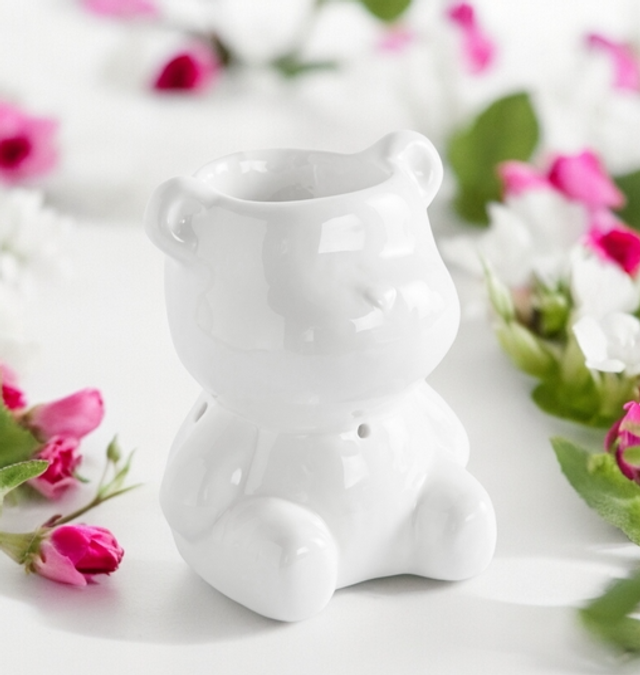 Brûleur Série Céramy - Teddy