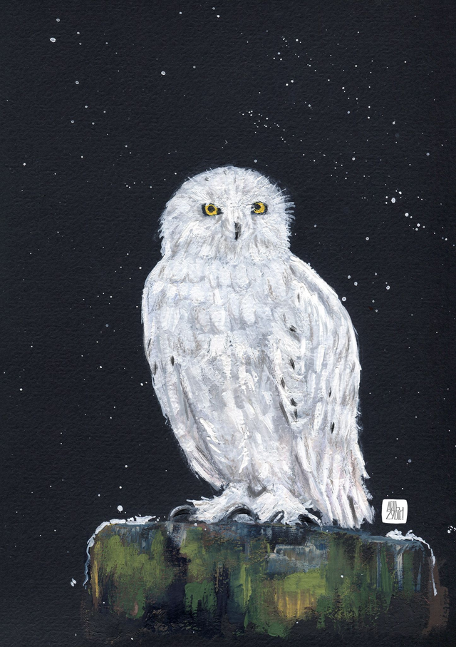 FineArt-Print - Schneeeule in Gouache