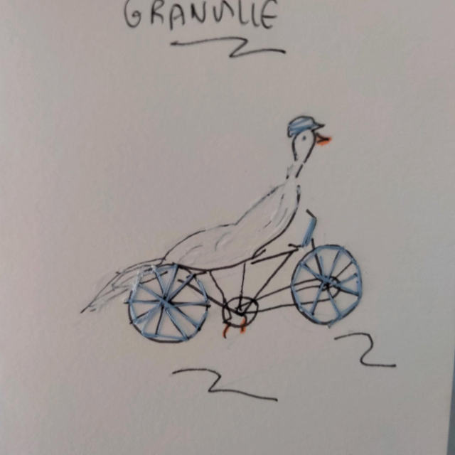 le vélo et le goéland