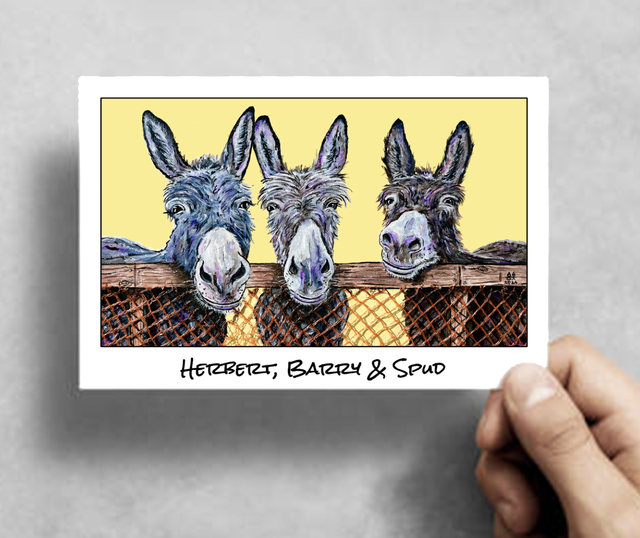 X10 Postcards - Donkeys (40p per unit)