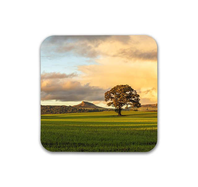 Golden Evening Light, Roseberry Topping