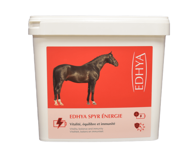 Edhya SPYR ENERGIE 25 kg