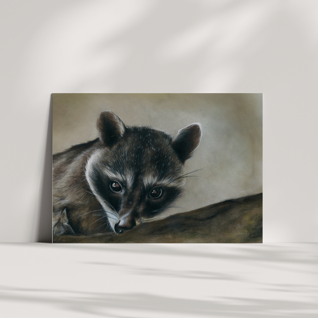 Carte de vœux - Râton laveur N°1